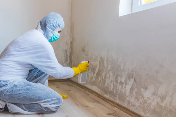 Mold Remediation specialist working in Bridgman